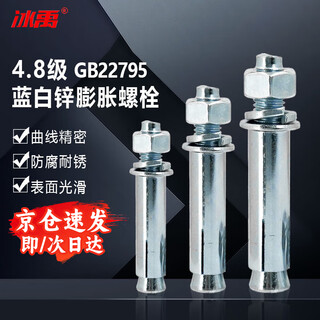 Bingyu bx-28 4.8 grade blue and white zinc expansion bolt gb22795 expansion screw m8*60 (30 pieces) 4.8 grade galvanized expansion screw
