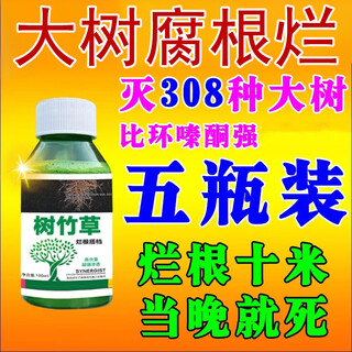 Special one drop of tree dead root removal powerful tree powder for big tree rotten roots, dead tree root rotten root dead tree king root removal corrosive agent y 6 bottles