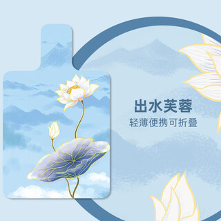 Big tuan xiaoyuan pilates core mattress yoga studio special suede large equipment mat professional pilates special upgrade model water hibiscus 1.5mm (ultra-thin model) 99.6x61cm