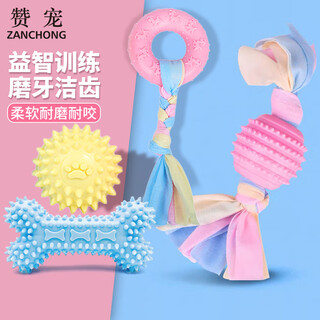 Zanchong macaron dog toy 4-piece set teething resistance and bite resistance universal dog training interactive self-enjoyment and boredom relief tpr rubber ball