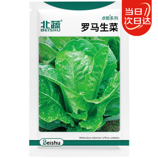 Beishu lettuce seeds for four seasons potted raw cream romaine lettuce vegetable seeds romaine lettuce seeds about 5000 pieces