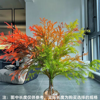 Lzjv melaleuca gold fragrant willow yunnan straight hair base flowers indoor hydroponic office living room flower arrangement dried flowers three-color gradient color-absorbing melaleuca gold conventional vase select 200g 3-10 branches 60-80cm
