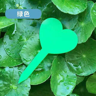 Ground brand gardening succulent label orchid flower potted gardening ground brand plant label waterproof thickened heart-shaped thickened green 100 pieces + 1 writing pen