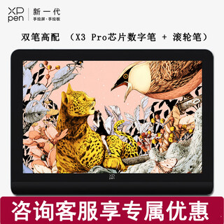 Xp-pen xppen artist pro 16 (2.5k) second generation digital screen 16k ultra-sensitive pressure-sensitive hand-painted screen handwriting screen tablet hand-painted tablet professional color illustration modeling dual pen high configuration (x3 pro chip digital pen + roller pen)