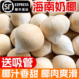 Hainan fresh milky coconut 6 pieces milk coconut green freshly picked fruit specialty coconut egg white sweet and juicy 8 6 pieces with straw