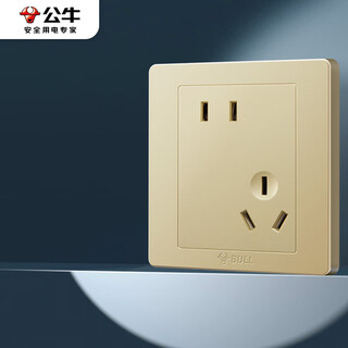 公牛（BULL）开关插座 G07系列 10A斜五孔插座86型插座面板 G07Z223AS 香槟金