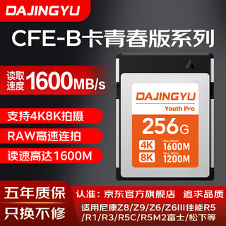 Dajingyu big whale high speed cfexpress memory card cfe-b image card cfe type b camera memory card suitable for canon sony nikon slr value recommendation youth edition-256gb memory card + card reader