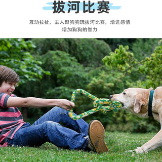 5abone dog training tug of war interactive natural rubber teeth cleaning and molaring toy bite-resistant small and medium-sized dog toy green