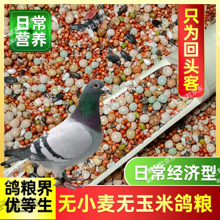 New pigeon food 20 jin jin is equal to 0.5 kg. corn-free pigeon food with corn pigeon feed racing nutrition pigeon food for adult and young pigeons 5 jin jin is equal to 0.5 kg. no wheat and corn high-quality pigeon food 20 jin jin is equal to 0.5 kg.