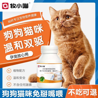 Baichongjing chicken insect repellent for small cats, highly effective in vivo general plants, safe and mouth-free for dogs and cats, 2 bottles of baichongjing new model