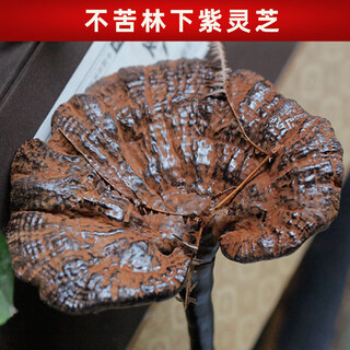 Yuzhi yuan purple ganoderma genuine yunnan deep mountain semi-wild purple ganoderma with spore powder non-bitter wild ganoderma can be made into soup, wine and tea. whole 500g (11-20 pieces)