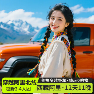 2-4 people cross-country tour | tibet ali north line tour 12 days and 11 nights yanghu karola glacier mount everest mount kailash guge dynasty namtso tibet lhasa 12-day cross-country tour 4 people (car + accommodation) june 1st - august 20th adult