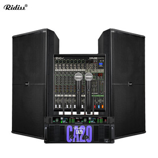 Ridiss srx professional audio set single 15-inch double 15-inch stage wedding outdoor conference performance hifi passive audio ktv engineering speaker double 15-inch high-end set 2#
