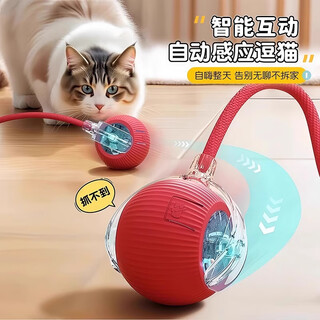 Xincong cat toy cat automatic cat flirting bat electric self-happiness artifact playing to relieve boredom cats kittens and kittens pets flagship model red rolling ball-1 to enhance battery life