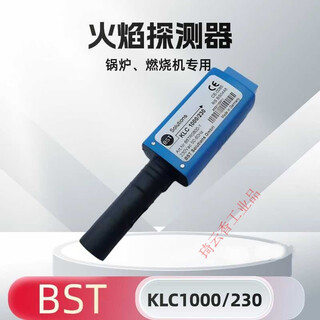 Flame detector klc1000/230 rs 1000-01rs boiler burner fire detector 20/230 klc1000/230