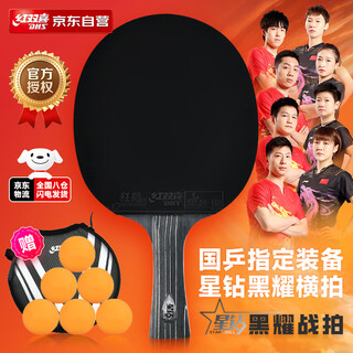 Double happiness (dhs) table tennis racket professional star diamond black shine (horizontal shot) with racket cover d02-l