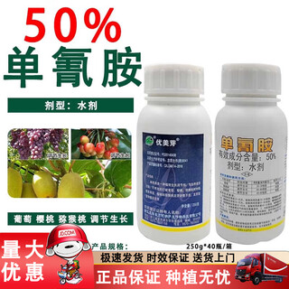 Beautiful bud 50% cyanamide grape kiwi nectarine sleep-breaking agent germination accelerator growth regulator 250g*1 bottle