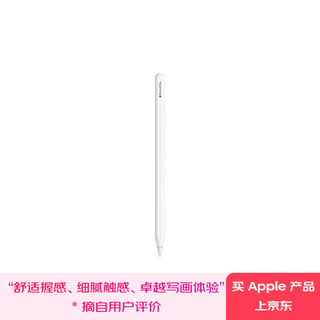 Apple/苹果 Pencil Pro 磁吸触控笔手写笔苹果笔电容笔书写绘画ipad笔 适用于iPad mini/Pro/Air