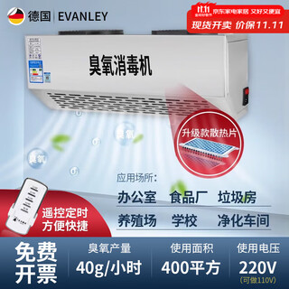 Evanley wall-mounted ozone generator industrial commercial school laboratory food factory packaging workshop disinfection machine garbage room purification air deodorization disinfection sterilization ozone machine 40g/h (400 square meters) remote control timing durable model