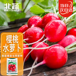 Beishu radish seeds, spring red-skinned fruit radish and vegetable seeds, weipang no. 1 cherry radish seeds, about 500 pieces