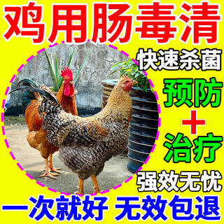 Enterotoxin removal for poultry, necrotizing enteritis, yellow-green loose stools and white diarrhea, chicken, duck and goose feed additives to repair the intestines 3 bags, special for enteropathy 100g/bag