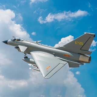 FMS航模 64mm涵道歼-10国庆纪念版攻击机仿真遥控电动固定翼飞机 64mm EDF 歼10 PNP 灰色  带锐飞V