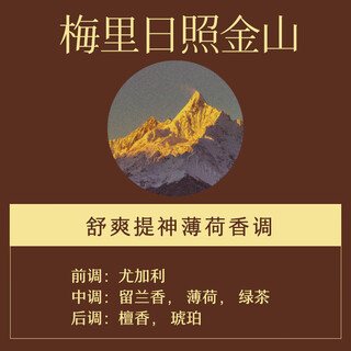 Shantou lincun yuli shanren/wild elf car aromatherapy refill fragrance tablets air vent fragrance fragrance tablets replacement meili rizhao jinshan (2 pieces) 0g