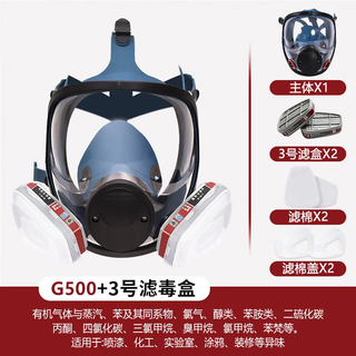 Gas mask, carbon monoxide, poisonous gas spray paint, smoke mask, dust mask, industrial dust, advanced full face protection, toxic chemical gas special fire escape g500 mask + no. 3 box dust and poison + 20 pieces of kn95 filter cotton