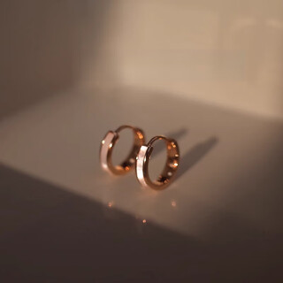 Dl fat donglai's same color gold earrings, simple shell earrings for women, niche design circles, a pair of shells