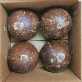 Coconut king hainan fresh old coconut peeled green coconut pregnant women and children fruit pure natural no added coconut meat coconut juice 4 pack with straw + opener selected large fruit 400-700g