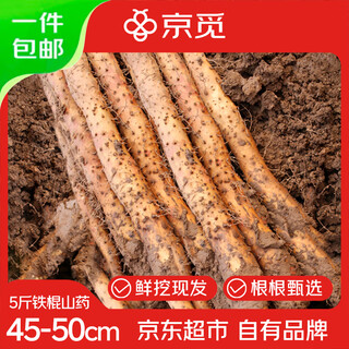 Jingmi jiaozuo wenxian loin soil iron bar yam 5jin jin is equal to 0.5 kg 45-50cm huaiyam huaiyam vegetable specialty straight from the source