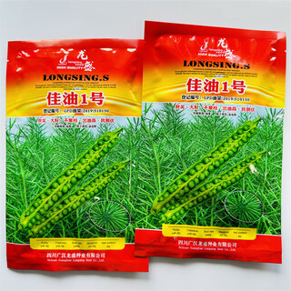 Hanfei oil 1701 agricultural oil 68 rapeseed seed high yield, high oil, low stem, cold resistant and disease resistant brassica rapeseed (2) jiayou no. 1 80g