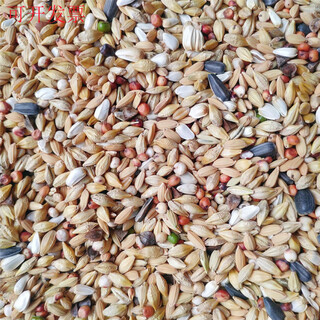 Pigeon food yipinhong clear pigeon food 45jin jin is equal to 0.5kg loaded pigeon food carrier pigeon racing pigeon pigeon food jiangsu, zhejiang, shanghai and anhui
