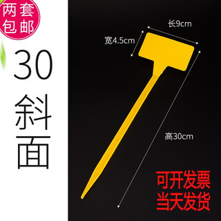 Benxinnong étiquette de jardinage étiquette de plante de fleur signe de sol signe personnalisé de jardinage étanche une étiquette de fleur de 60 cm biseau 30 cm jaune 10 pièces