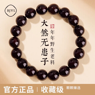 BJYL无患子手串精品野生木患子男士菩提子念珠手持文玩手链盘玩佛珠女 无患子手串-珠径约10-11mm