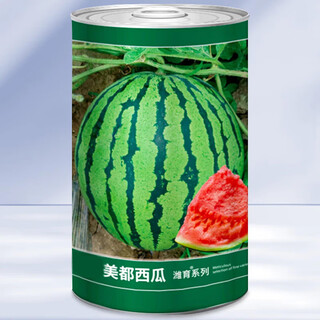 Dayu lazy man watermelon seed seedlings extra large suitable for early maturing lazy man in the south 8424 kirin melon meidu seedless fruits and vegetables weiyu meidu watermelon seeds 150 capsules/barrel