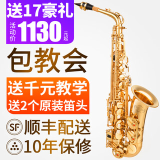 Angel of sound e-flat alto saxophone instrument wind pipe for adult beginners professional performance examination model recommended by big players m21 gold | upgraded double ribs + double mouthpieces | + teaching