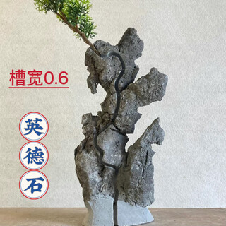 The raw stone is slotted and attached to the stone bonsai, which can be attached with elm, golden bean, fish tank, rockery, garden landscaping stone 17-20cm (slotted model will be shipped randomly)