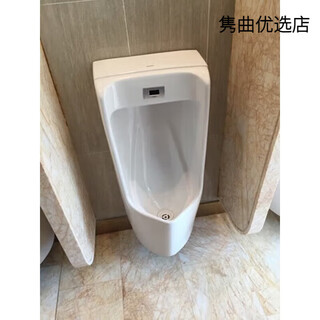 Renjuyi urinal 81987 induction integrated floor-standing uswn870rb dry battery