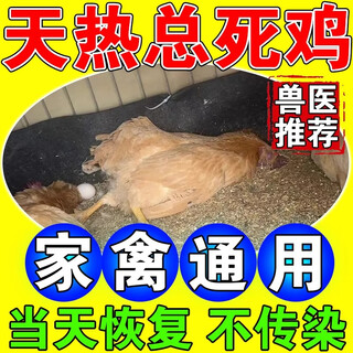 Chicken, patchouli, zhengqi, buffalo and sheep to prevent heatstroke, chicken, duck, goose, poultry and pig, anti-stress medicine, heat-clearing, heat-relieving and cooling oral liquid, three bottles for the price of two bottles