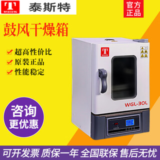 Taisite constant temperature blast drying oven, electric heating drying oven, laboratory drying oven, ticket package, full range can be customized