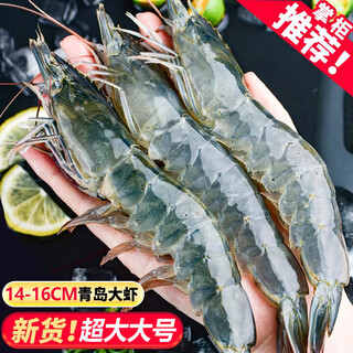 Shrimps have shrimps, domestic qingdao prawns, white shrimps, green shrimps, shrimps, fresh shrimps, frozen fresh shrimps, fresh shrimps, extra large sea-caught whole box, 14-16 cm, 3jin jin equals 0.5 kg (net weight)