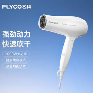 Flyco hair dryer, household high-power negative ion hair dryer, hair care, strong wind, quick drying, light, compact, portable, professional salon hair dryer, 2000w high power, foldable fh6232