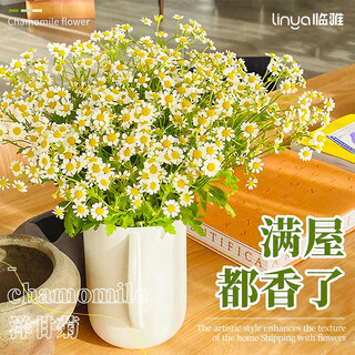 Linya chamomile flowers 10 branches small daisy bouquet yunnan base straight hair fresh cut flowers hydroponic source straight hair