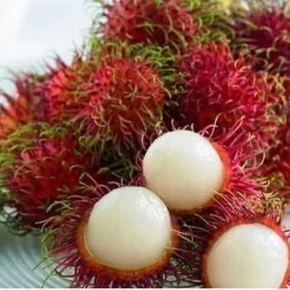 Rambutan seeds for all-season sowing, balcony potted plants and small yard planting, simple fruit and vegetable seeds collection. rambutan seeds, original, selected high-quality seeds, one pack, about 10 seeds.