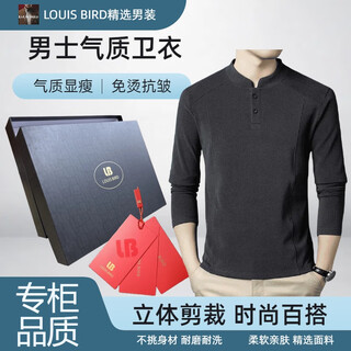 Louis bird double-sided german velvet bottoming shirt for men, henry collar trendy and versatile long-sleeved stand-up collar sweatshirt for friends gray 2xl recommended 150-170jin jin is equal to 0.5 kg
