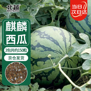 Beishu watermelon seed seedlings rock sugar unicorn 8424 potted watermelon seeds rock sugar unicorn melon seeds about 150 pieces