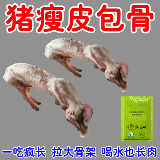 Pigs are appetizing and invigorating. eat hard and grow stiff pigs. stiff pigs will not grow long just by eating. pig growth hormone is a fattening feed additive. stiff pigs won’t grow long just by eating. 2 bags. eat hard and grow.
