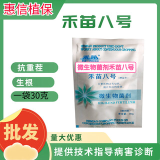 禾苗八号抗重茬生根叶面肥微生物菌剂 一袋一壶水