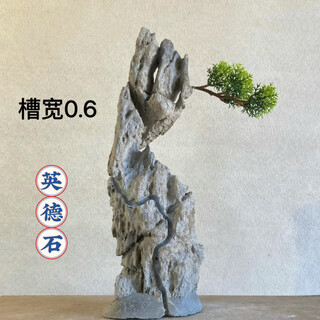 English stone rough stone slotted with stone bonsai can be attached with elm golden bean fish tank rockery courtyard landscaping stone 23-27cm (slotted model will be shipped randomly)
